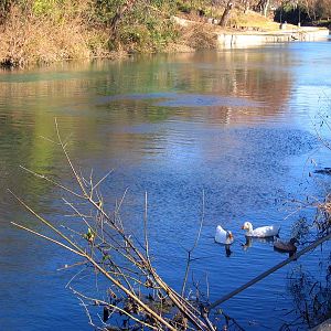 Gotta Love the Shirt