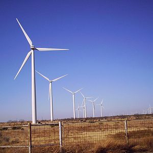 CHUM Team Dragon Boat