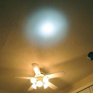 Sassy and the Hammock