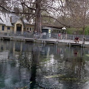 Sassy on the Halliburton