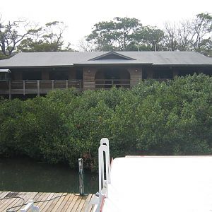 Land Shark Struts his Stuff