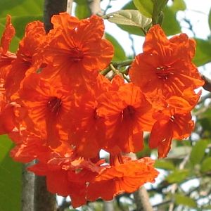 Flushed with Success