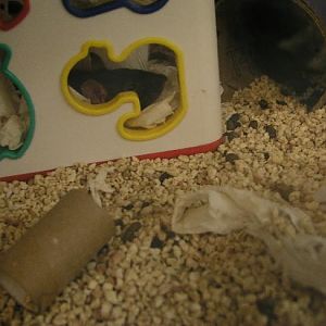 Wall Kayaking - the Return