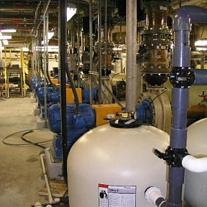 Tiger in the distance