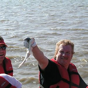 Kytnut examining a hatch