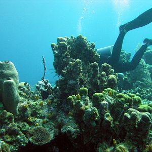 Dougs_Boat_004