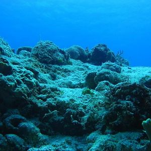 The slate of shame...