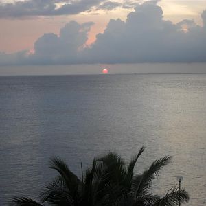 newfrontyard041Medium