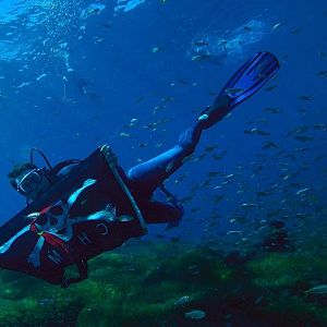 Sushi Boy flys the colors