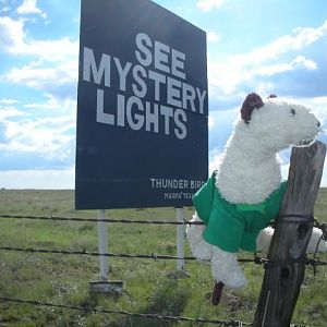 maybe they're coming back to get me...