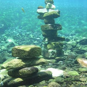 rock art courtesy of swimmers