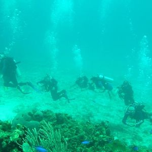 Cozumel tour group
