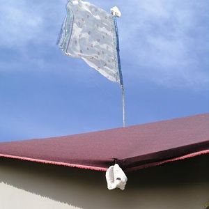 and its own flag