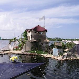 Richie's Spiral Island