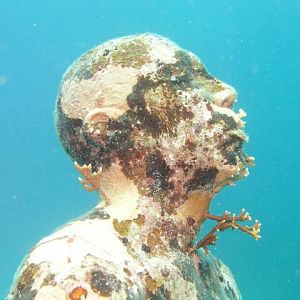 Underwater art gallery