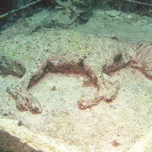 Underwater art gallery