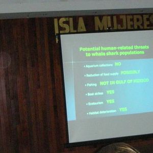 Analysis of threats to whale sharks