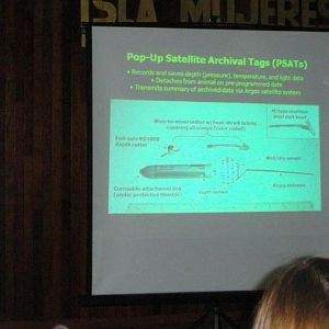 satellite tag