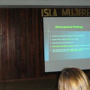 facts on whale sharks in Mexico