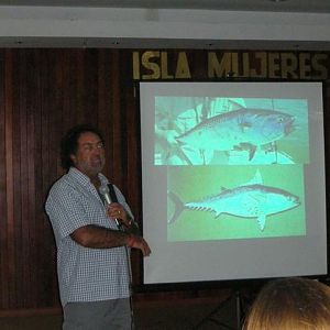 Why the whale sharks converge here