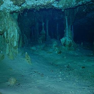 Cenote - Dos Ojos
