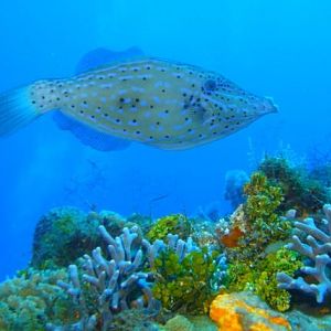 Off to my job at the nail salon!