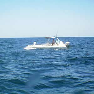 August 2010 - Rig Dive from Freeport