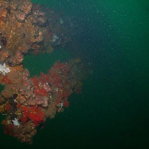 August 2010 - Rig Dive from Freeport
