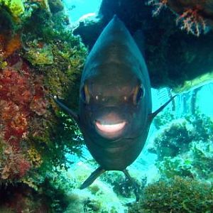 "Can't get enough of your love baby!"