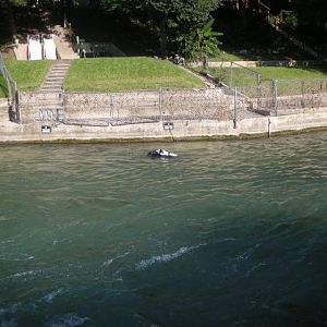 GWNDWN scouring our assigned area