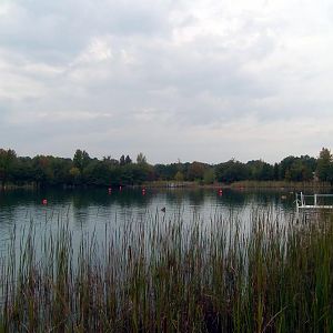 PIC_0365_1