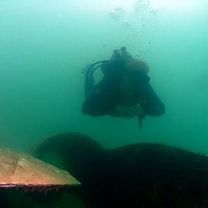 PIC_0409_1