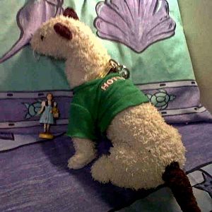 Australia 2010 Wet and Dorthy Happy on the M/V Spoilsport