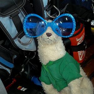 Australia 2010 Wet is glammed up to dive