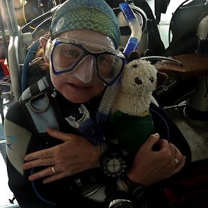 Australia 2010 Vanessa and Wet are concerned about the upcoming shark feed