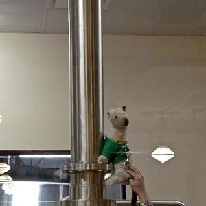 CHUM Holiday Parrrty Wet Pole Dances