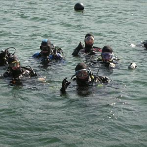 Digital diving?