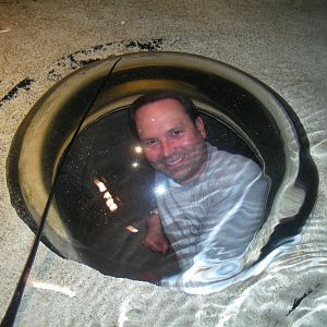Bubble Boy