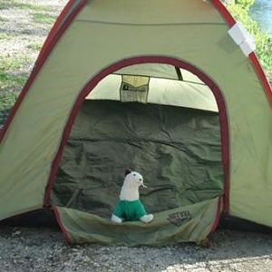 Wet checking out Cold's tent