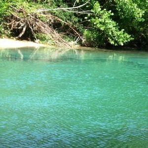 The river