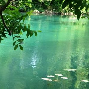 The river