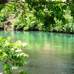 The river