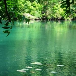 The river