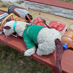 CHUM 288 Monthly Dive Event 4 30 2011