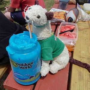 288 Monthly Dive Event4 30 2011