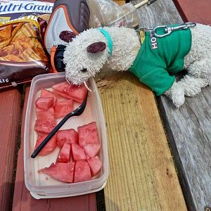 288 Monthly Dive Event4 30 2011