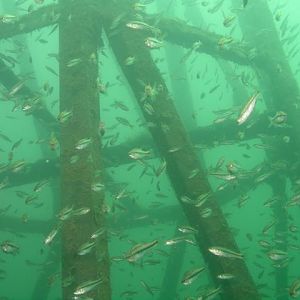 Mammoth Lake steeple or gulf oil rig?