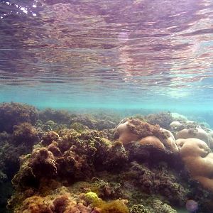 Shore Dive 2