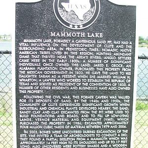 Mammoth marker