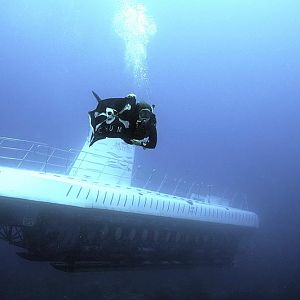 Siren leaves submariners shaking